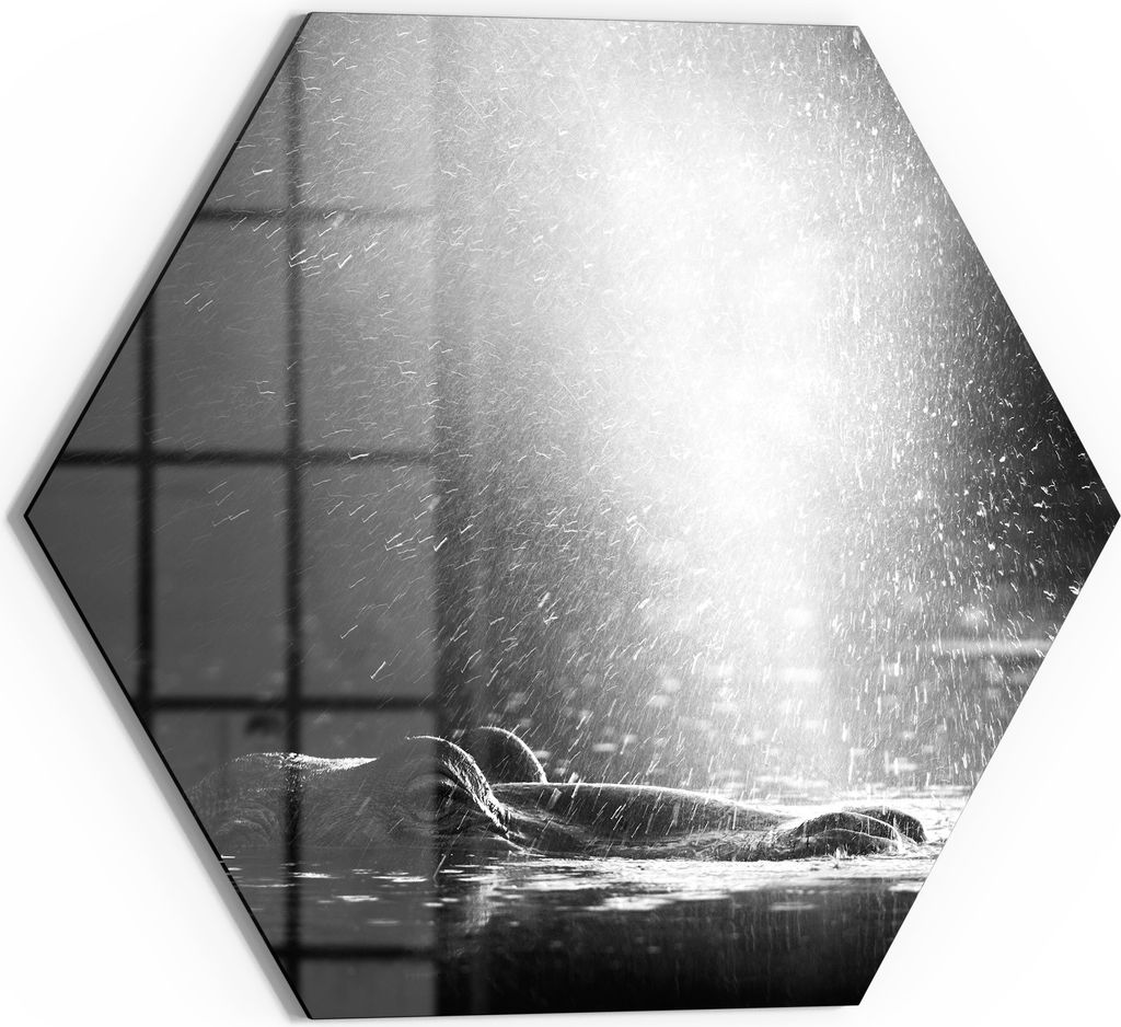 DEQORI Glasbild Echtglas 55x48 cm 'Lichtspiel am Fluss' Wandbild Bild modern Deko