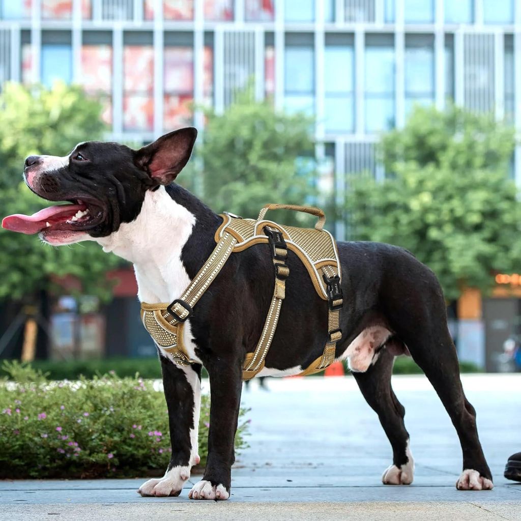 Reflektierendes Hundegeschirr mit Griff und Verstellbaren Schnallen - Braun, Größe S