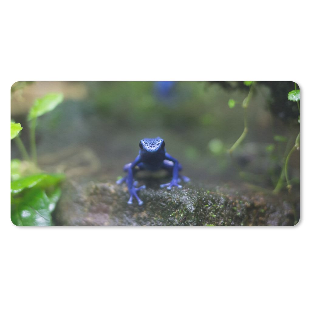 MuchoWow Mauspad Mousepad Blauer Frosch im Dschungel 60x30 cm - Mousepads - Maus Mat - Pad - Mausunterlage - Nachhaltig