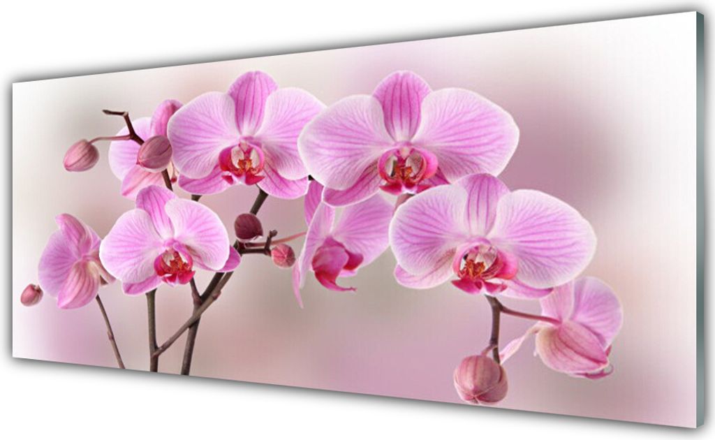 Acrylglasbilder 125x50 Wandbild Druck Blumen Pflanzen