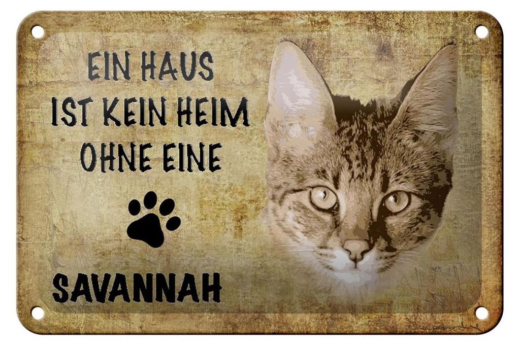 Blechschild Spruch 18x12cm Savannah Katze ohne kein Heim Produktbild 