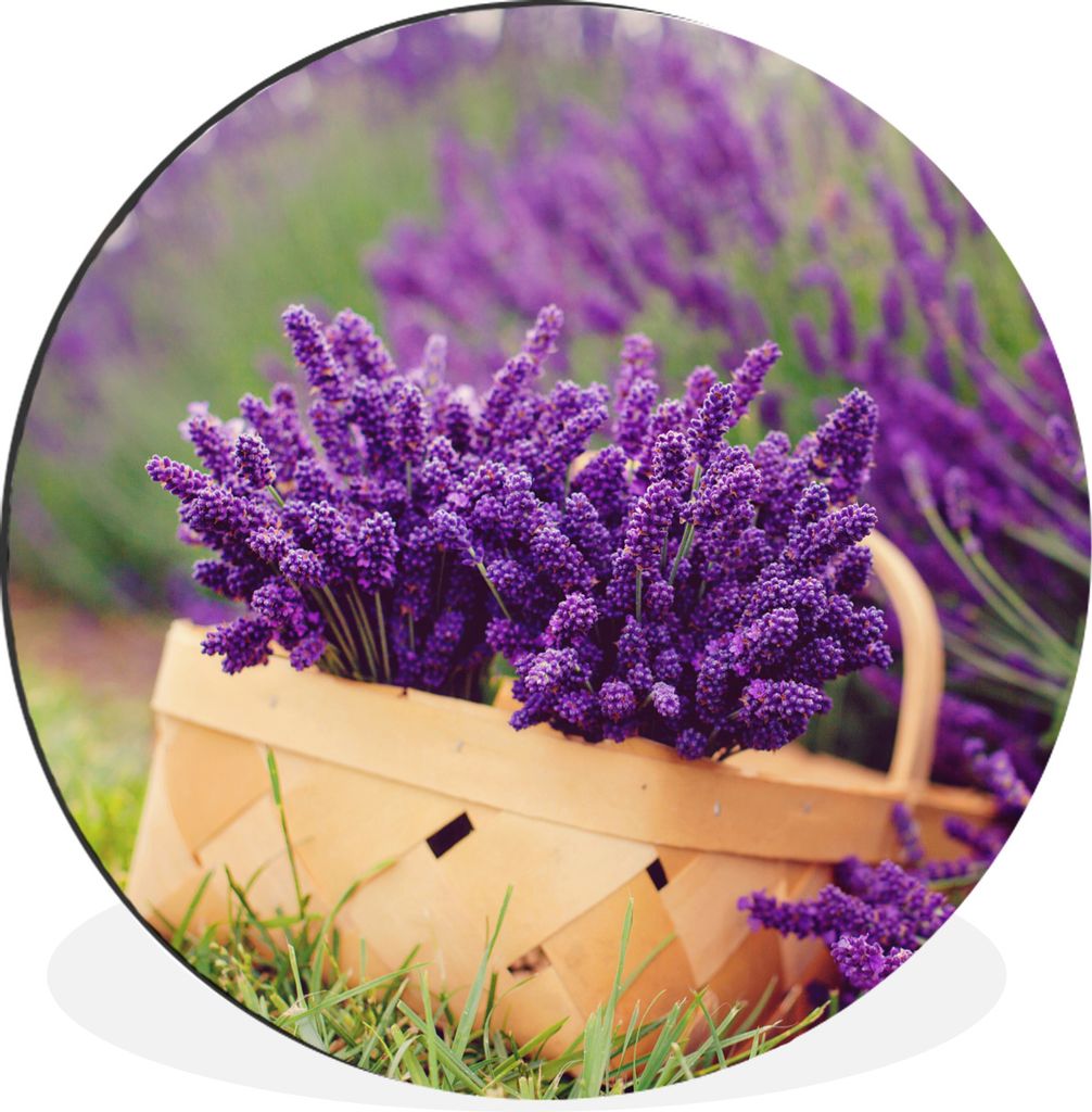 MuchoWow Aluminium Wandkreis Frischer Lavendel in einem Korb Ø 90 cm Wanddeko Modern Wohnzimmer - Mauerkreis - Wandbilder - Runde Bild - Bild au...
