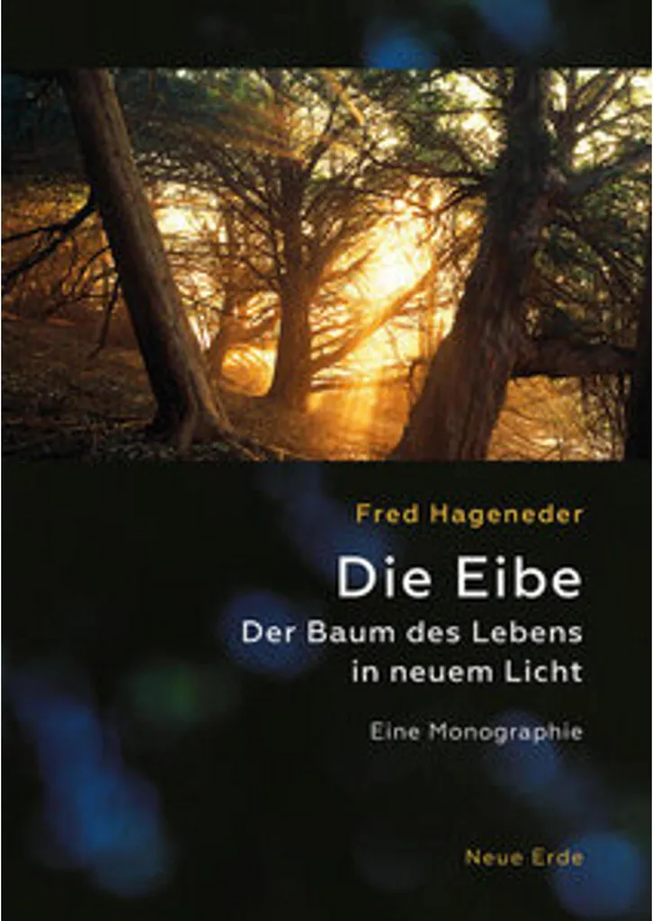 If Commun Die Eibe Solution Haie Ombragée et Sol Difficile de Jardin