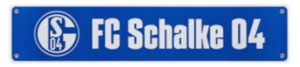 FC Schalke 04 Nummernschild mit Saugnapf Produktbild 