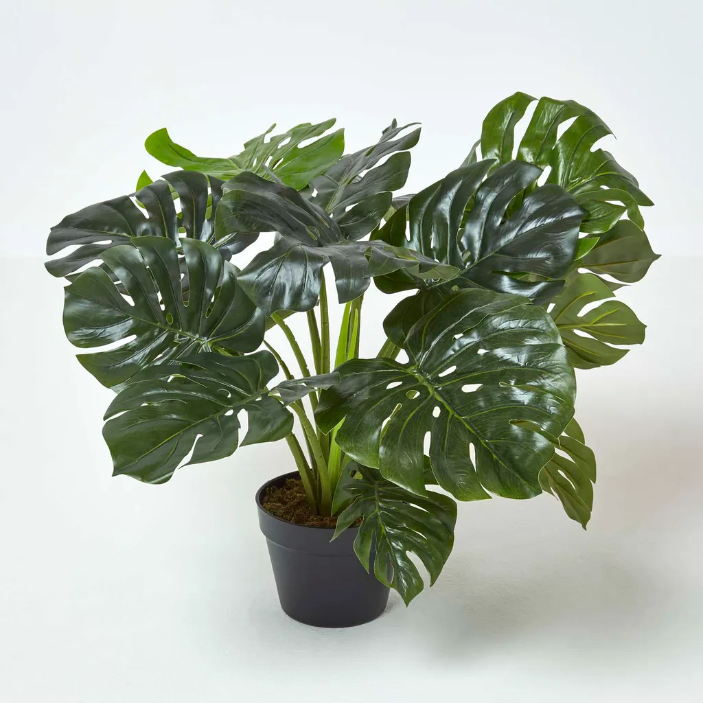 Décoration Tropicale avec cette Plante Monstera Artificielle de 60 cm