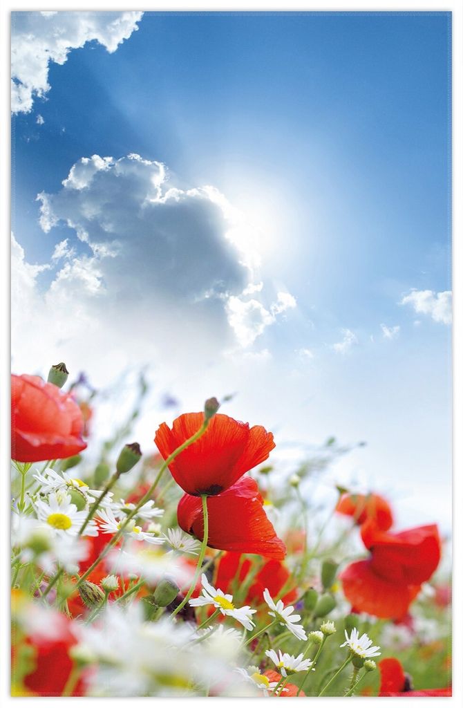 Wallario Premium Teppich, Größe 90 x 140 cm, Mohnblumen unter blauem Himmel
