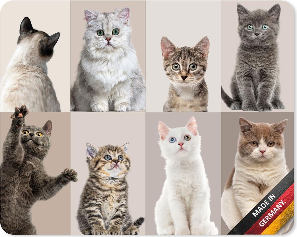 younikat Mauspad Katzen-Bande I 24 x 19 cm I süße Katzen I Mousepad in Standard-Größe rutschfest I für Jungen Mädchen und Frauen I Cat-Gang K...
