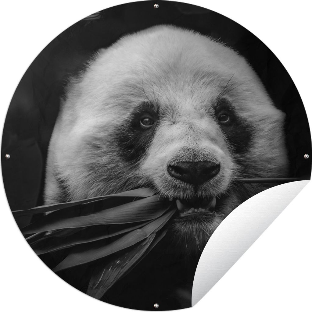 MuchoWow Gartenposter Outdoor-Poster Rund Tiere - Panda - Dschungel - Schwarz - Weiß Ø 150 cm Gartendeko Rundes Poster draußen