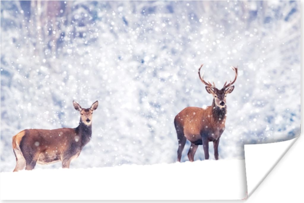 MuchoWow Poster Hirsche - Tiere - Schnee 180x120 cm - Fotoplakat
