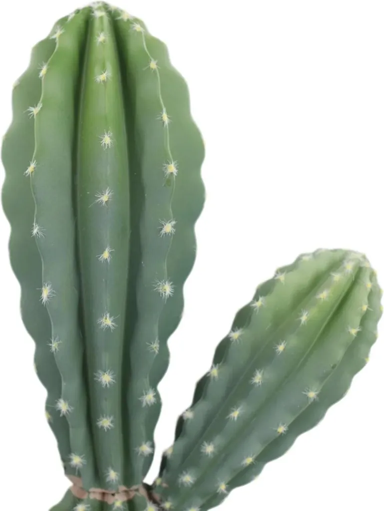 Cactus Artificiale 88cm - Pianta Finta da Esterno ed Interno - Stile Bonsai - 6