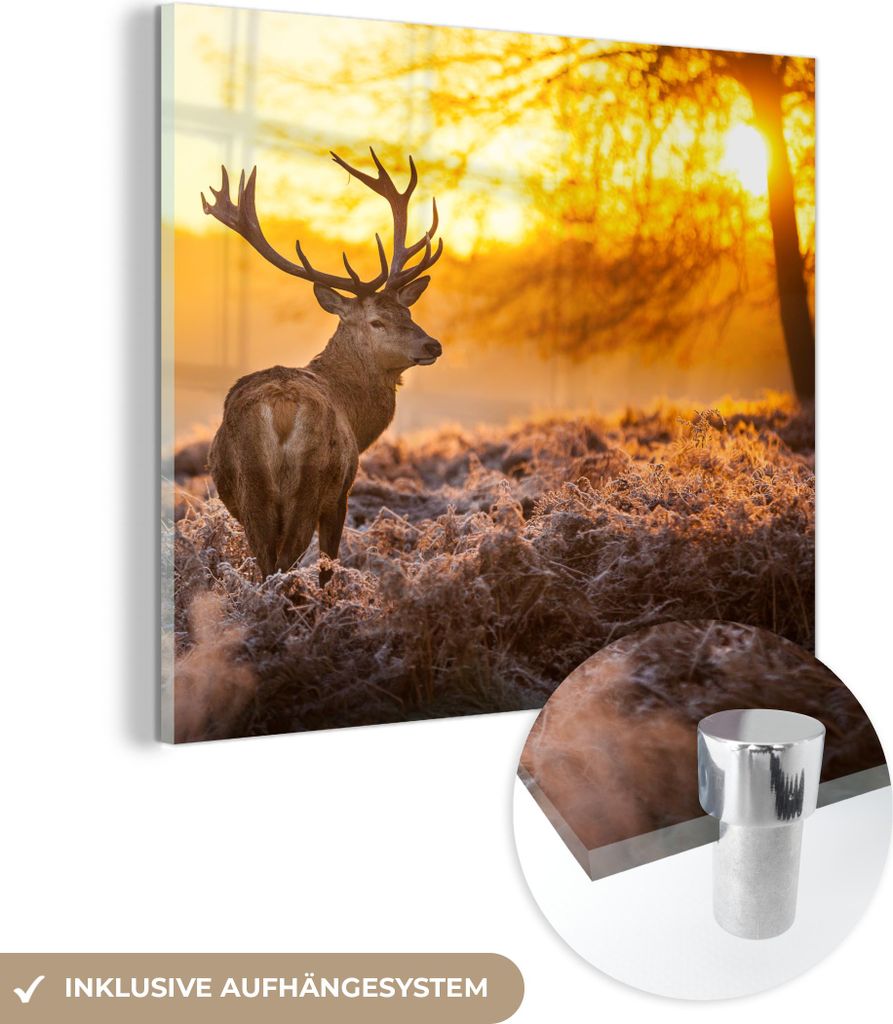 MuchoWow Glasbilder - Bilder auf Wandbild - Foto auf Glas Hirsche - Tiere - Sonnenuntergang - Winter - Heidekraut - Natur 90x90 cm Wanddekoration a...