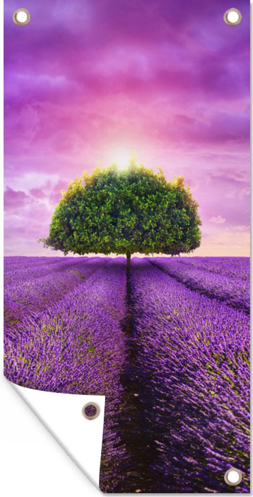 MuchoWow 30x60 cm Outdoor-Poster Gartendeko Sichtschutz Garten Poster für den Garten Lavendel - Baum - Lila - Wolken