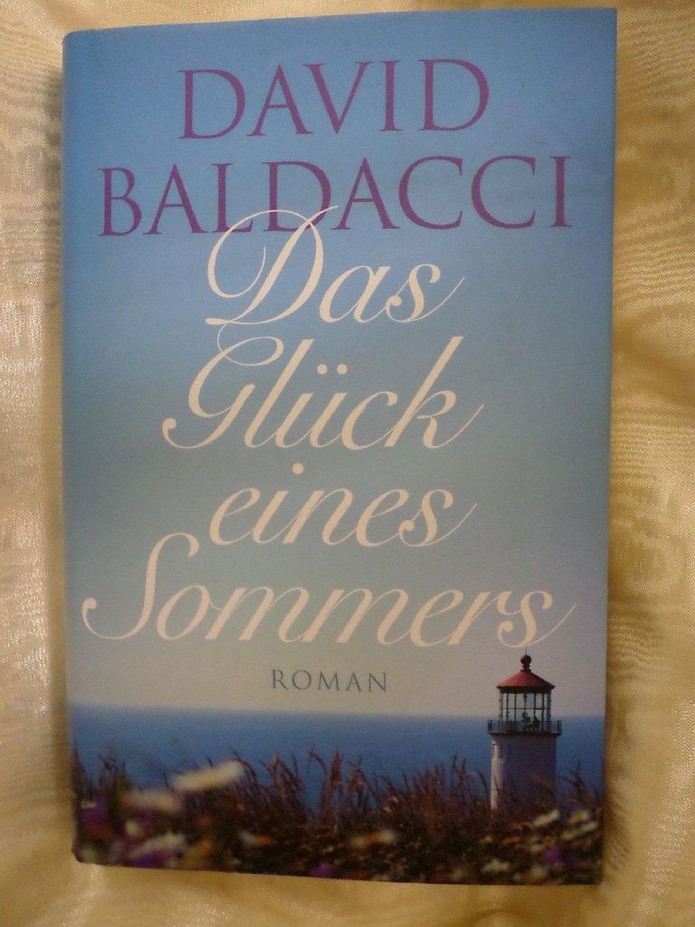 Das Glück eines Sommers: Roman