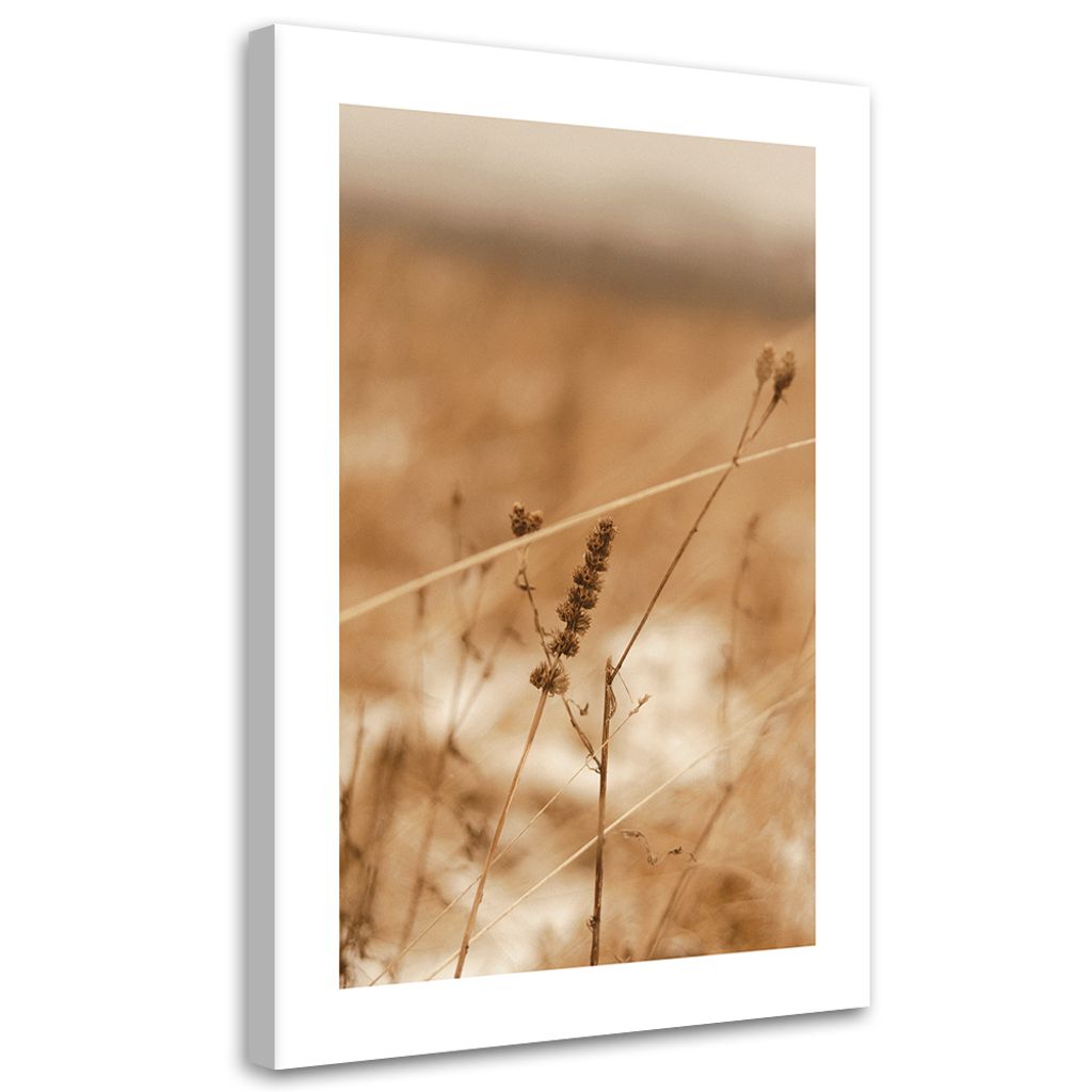 Leinwandbild Zartes Boho-Gras 60x90 Feeby Beige bild für die wand bereit zum aufhängen