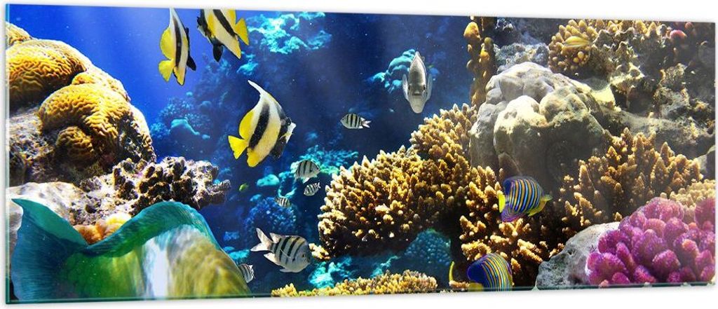 Bilder auf glas - Korallenriff Ozean Krabbe Fisch - 140x50cm - Glasbilder - Wandbilder - Kunstdruck - zum Aufhängen bereit - Wanddekoration aus Gl...