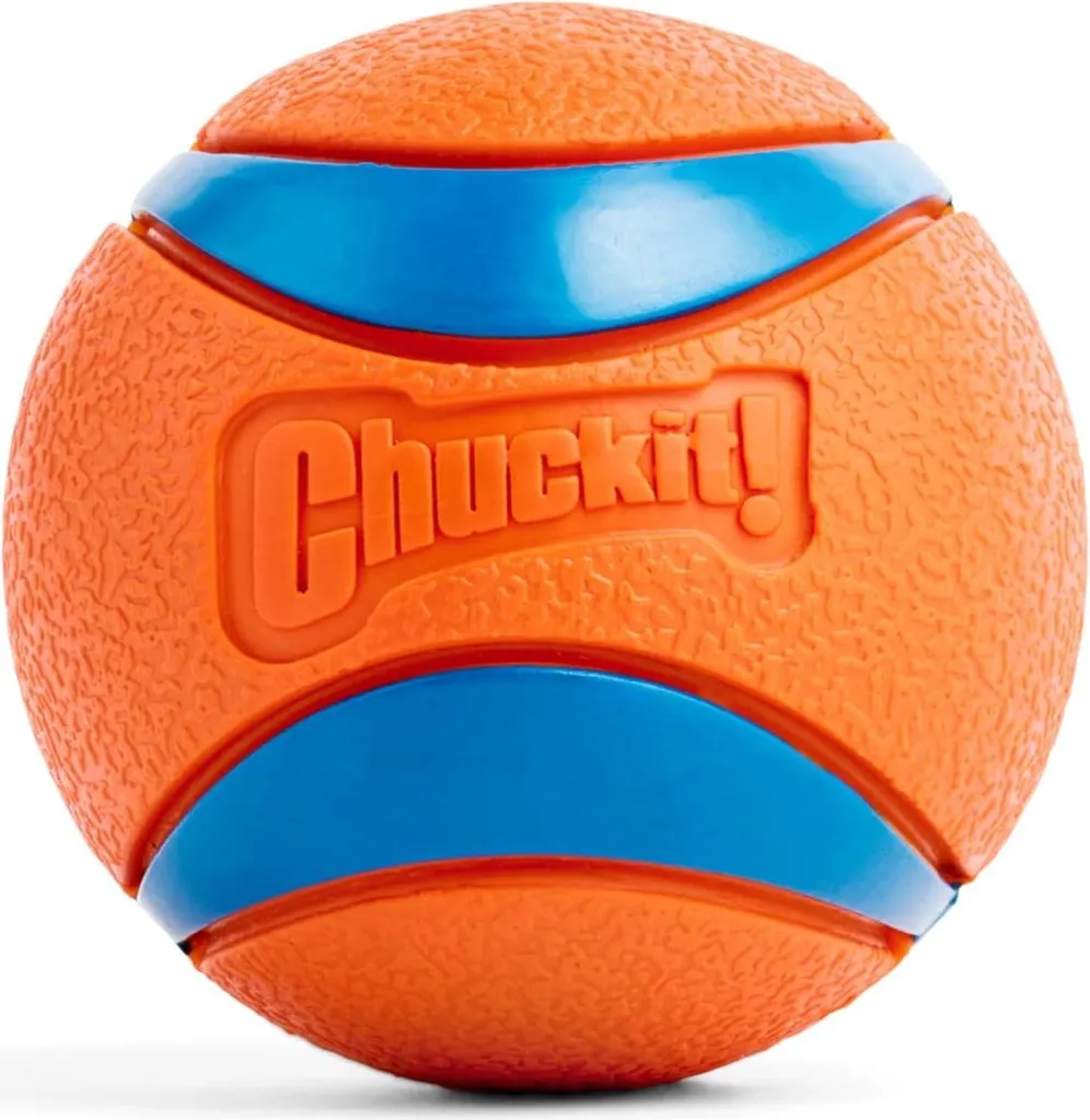 Kit de Jeu pour Chien : 8 Balles Chuckit avec Seau Pratique de Transport