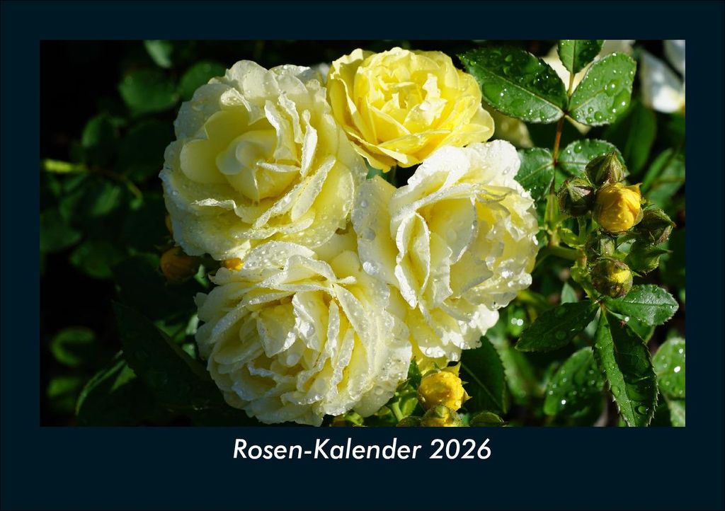 Rosen-Kalender 2026 Fotokalender - Querformat DIN A5, Monatskalender mit Bild-Motiven aus Fauna und Flora, Natur, Blumen und Pflanzen