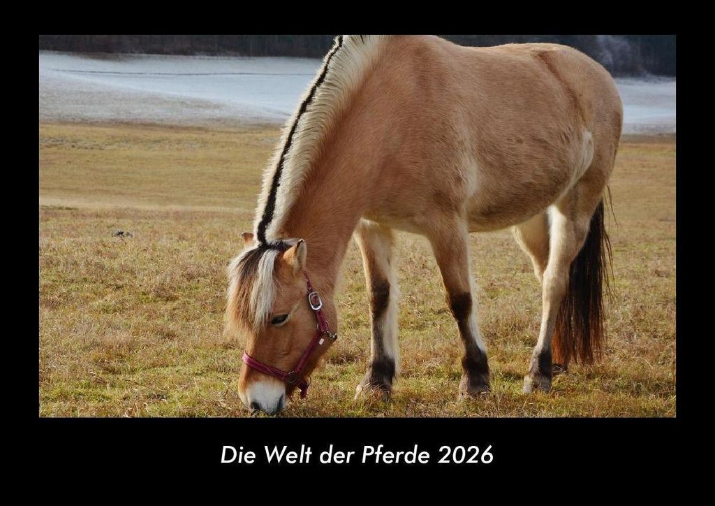 Die Welt der Pferde 2026 Fotokalender - Querformat DIN A3, Monatskalender mit Bild-Motiven aus Fauna und Flora, Natur, Blumen und Pflanzen