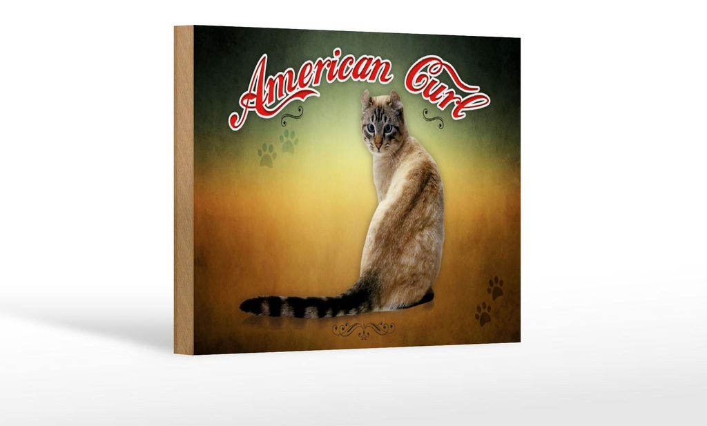 Holzschild Katze 18x12 cm American Curl Wanddeko