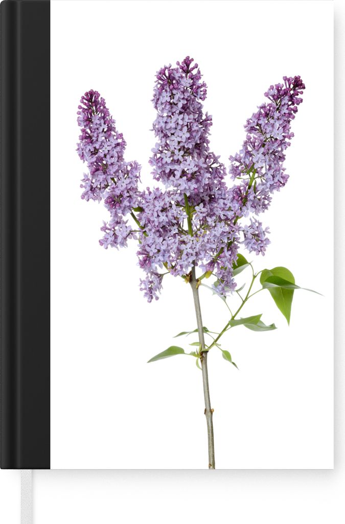 MuchoWow Notizbuch Tagebuch Haushaltsbuch Notebook A5 Fliederzweig in Blüte auf weißem Hintergrund - Notizblock - Notizheft - Notebook - Schrei...