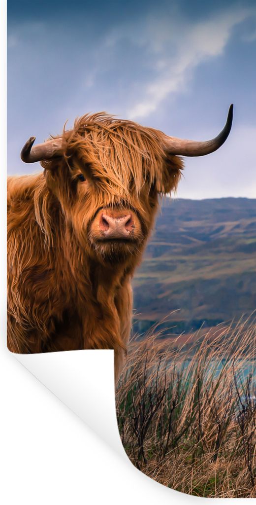 MuchoWow Wandtattoo Wandsticker Wandaufkleber Schottische Highlander - Himmel - Natur 80x160 cm Selbstklebend und Repositionierbar - Sticker - De...