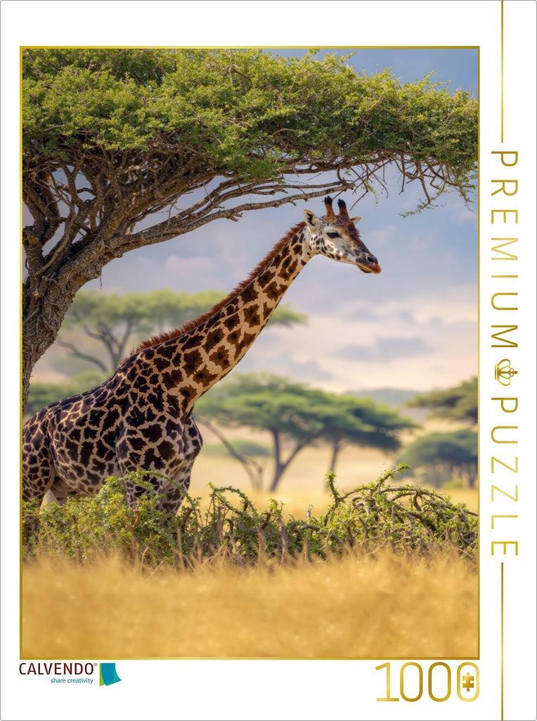 CALVENDO Puzzle Mittagspause | 1000 Teile Lege-Größe 64x48cm Foto-Puzzle für glückliche Stunden