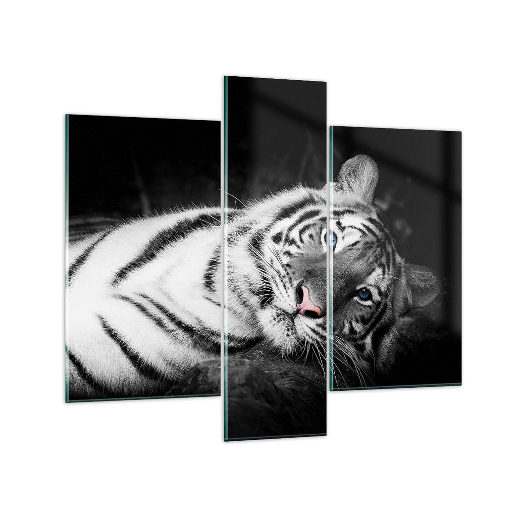 Bilder auf glas - 3 Teile - Weiß Tiger Schwarz und Weiß - 95x80cm - Glasbilder - Wandbilder - Bilder - zum Aufhängen bereit - Wanddekoration aus...