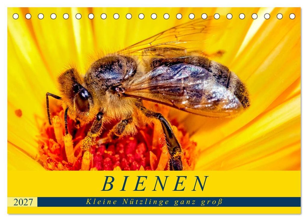 BIENEN - Kleine Nützlinge ganz groß (Tischkalender 2027 DIN A5 quer), CALVENDO Monatskalender