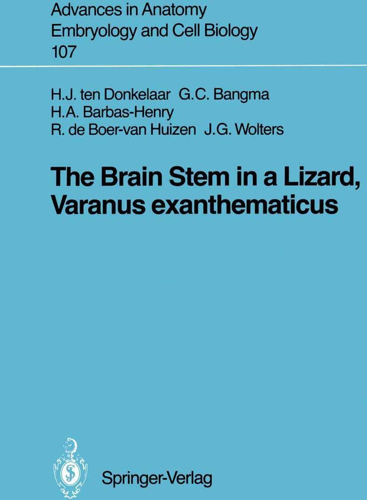 The Brain Stem in a Lizard, Varanus exanthematicus