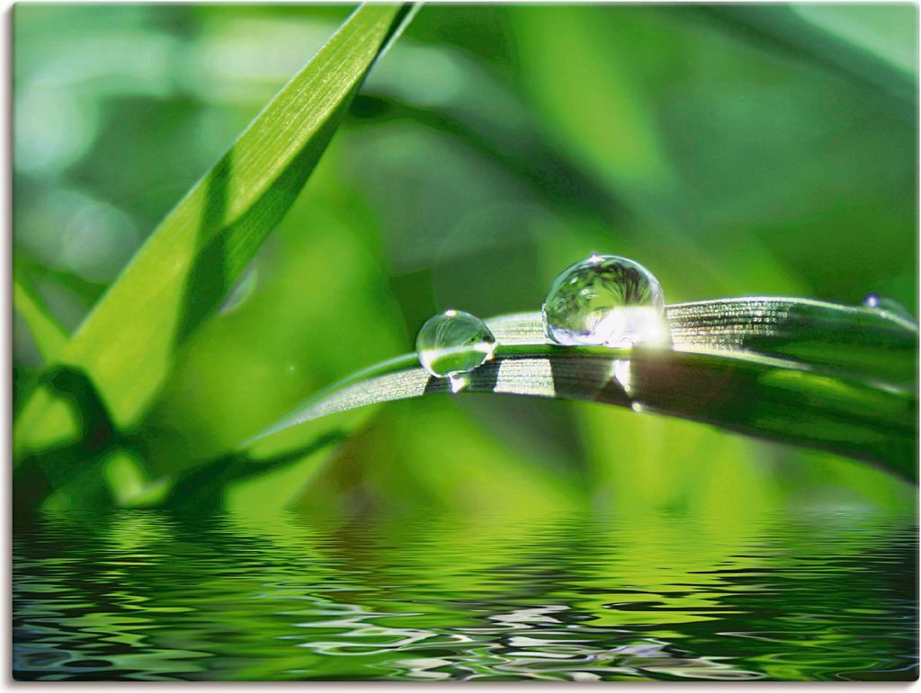 ARTland Leinwandbild Grüner Hintergrund mit Gras Größe: 60x45 cm