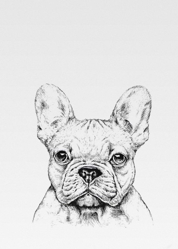 Geschirrtuch weiss, BULLDOGGE, grau