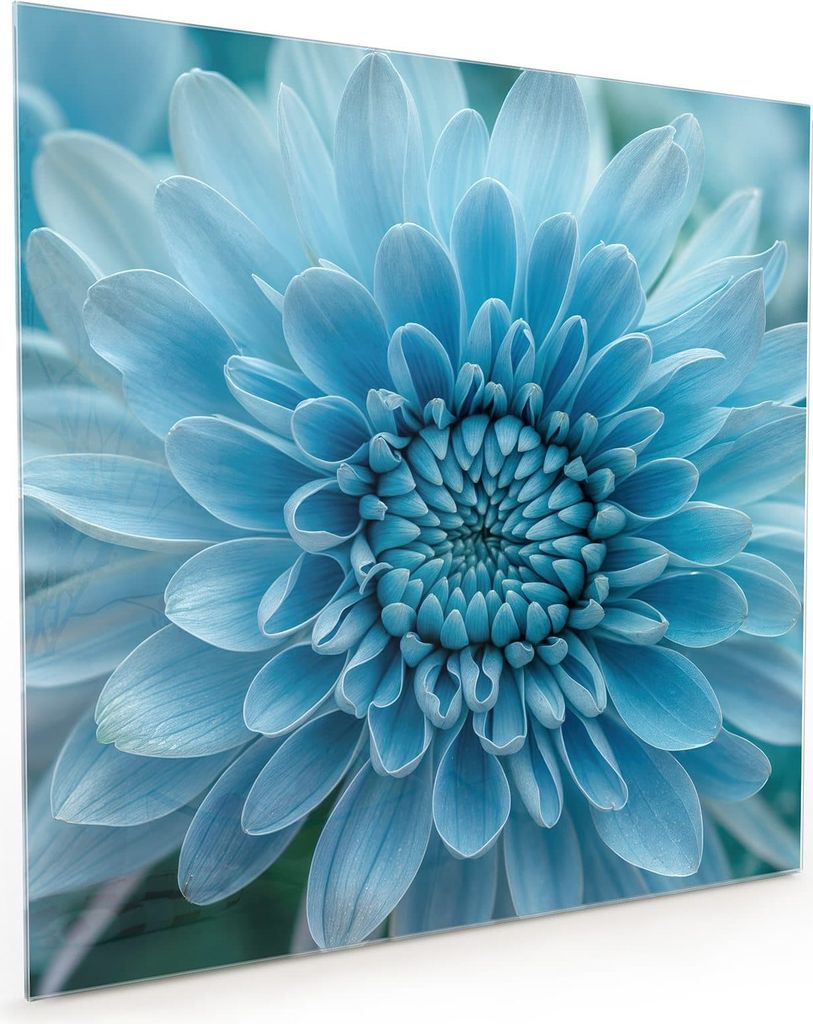 Küchenrückwand Spritzschutz Glas mit Motiv Blaue Blume 40 x 40 cm