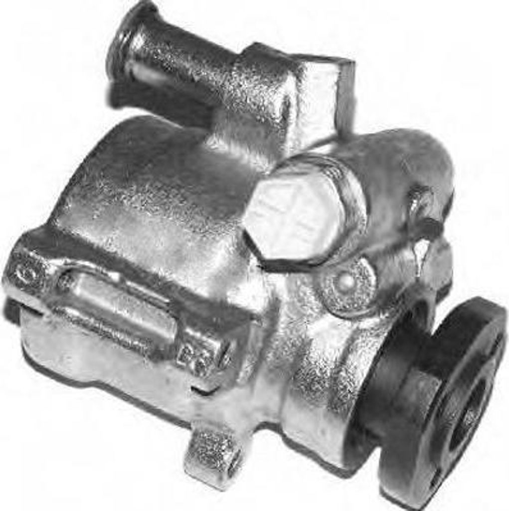 GENERAL RICAMBI PI0155 Hydraulikpumpe, Lenkung OE 028145157D kompatibel mit Vento, Sharan, Polo 6V, Passat 35I, Golf III, Caddy, Toledo, Inca, Ibiz...
