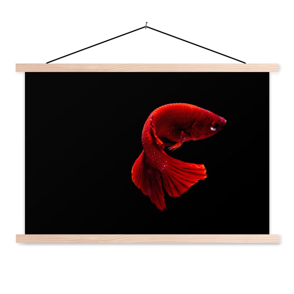 MuchoWow Textilposter Fisch - Meerestier - Schwanz - Rot 120x80 cm mit holzfarbenen Rahmen - Aufhängeset