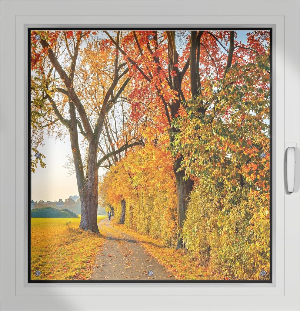 Wallario Lichtschutzbild, Dekorativer Sichtschutz Sonnenschutz 96 x 100 cm mit Motiv: Herbstlicher Waldweg mit buntem Laub - Verdunklung ohne Bohren