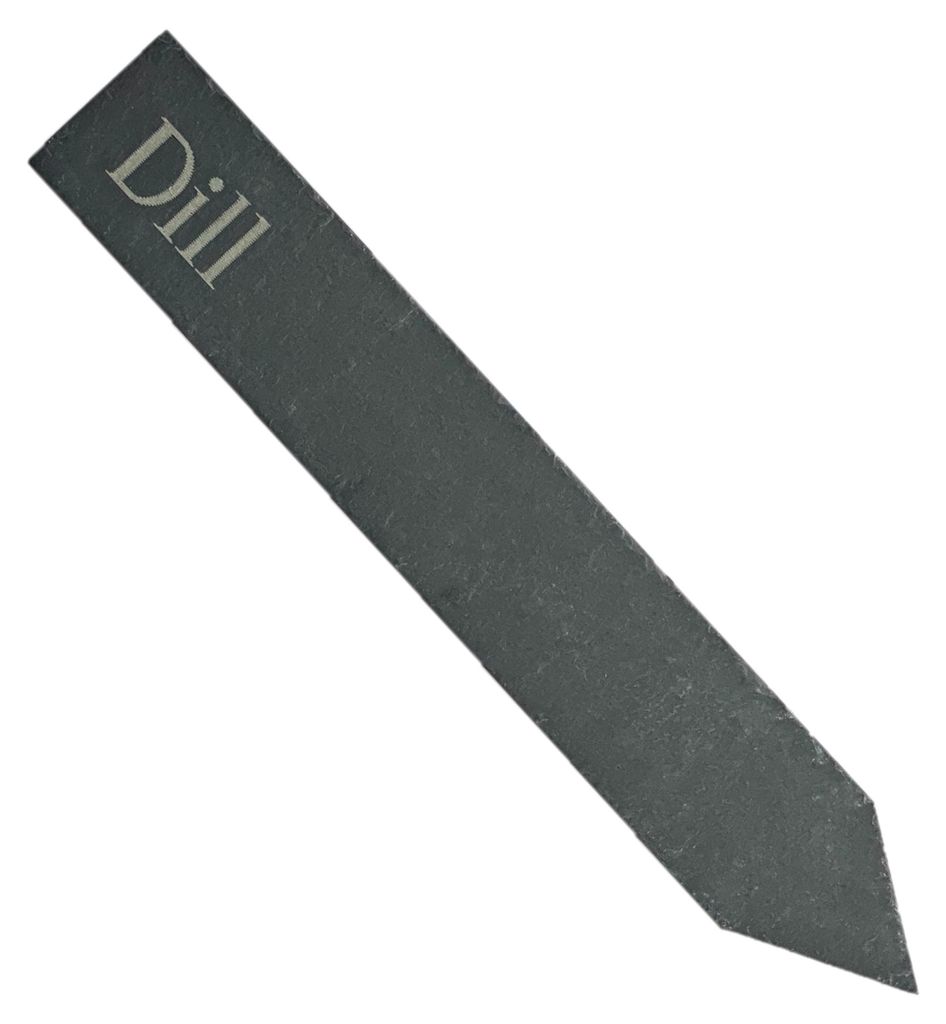 Pflanzenschild "Dill" Kräuterstecker Schiefer 19 cm graviert