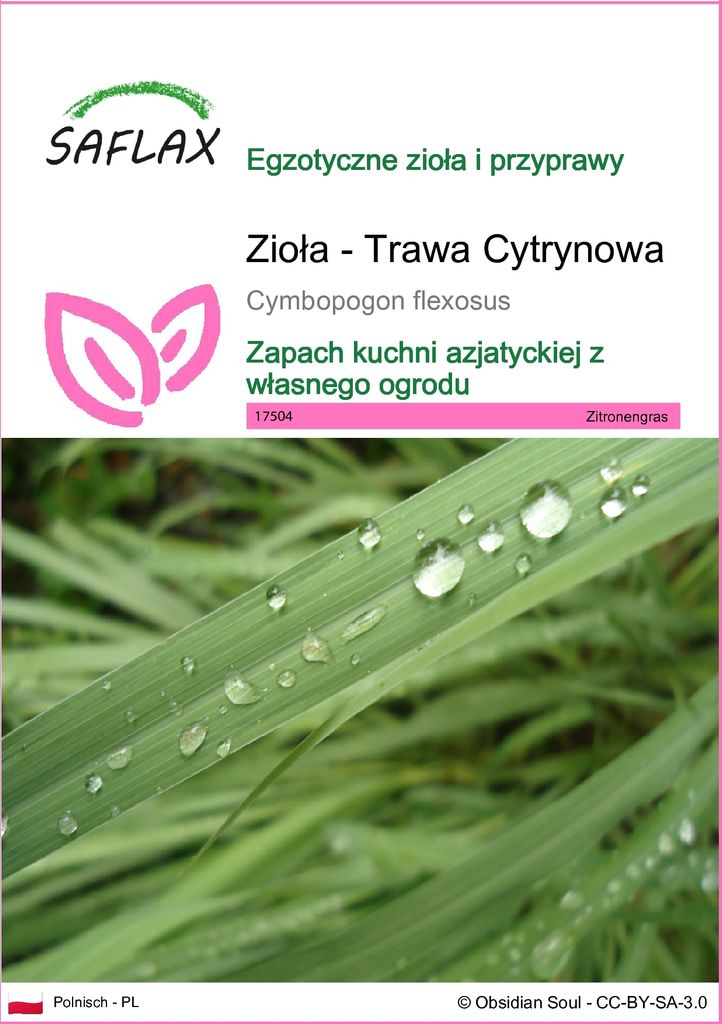 SAFLAX - Zioła - Trawa Cytrynowa - 50 Nasiona - Cymbopogon Zdjęcie produktu 