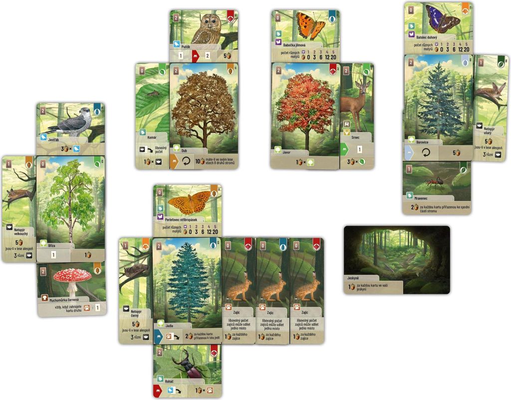 Brettspiel Gemischter Wald Wissens- & Familienspiel 2-5 Spieler 60 Min. ab 10 Jahren tschechisch