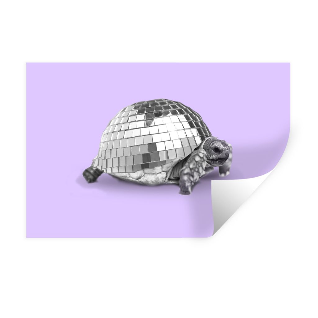 MuchoWow Wandtattoo Wandsticker Wandaufkleber Schildkröte - Discokugel - Disco - Tier - Lila 120x80 cm Selbstklebend und Repositionierbar - Selb...