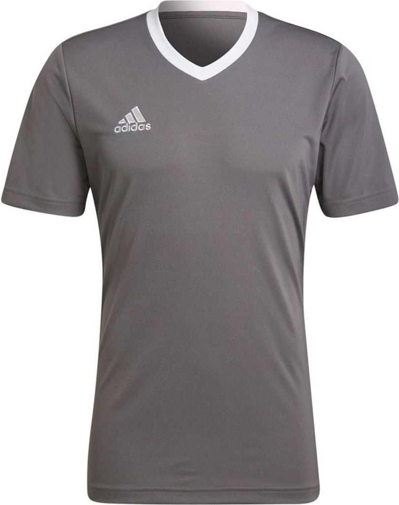 adidas Entrada 22 Trikot XL TEGRFO Produktbild 