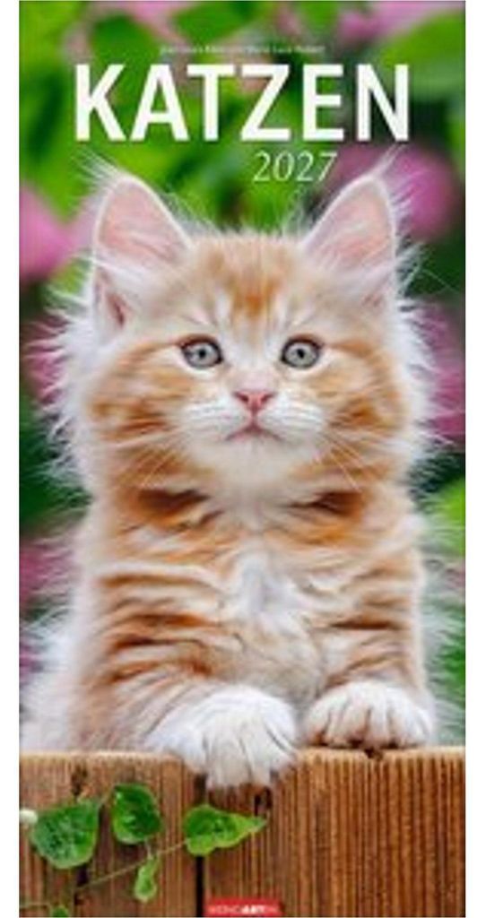 Calendrier des chats 2027 Image du produit 