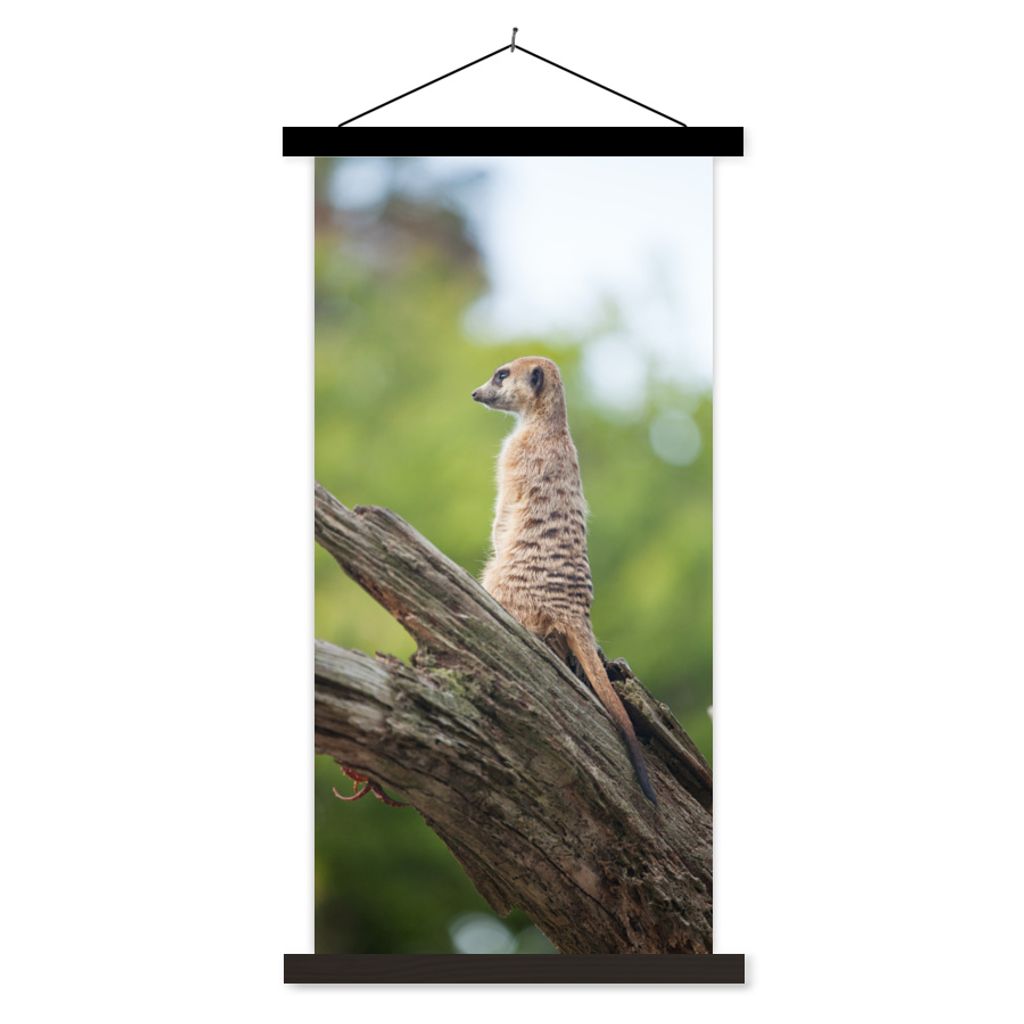 MuchoWow Textilposter Erdmännchen - Ast - Baum 60x120 cm mit schwarzem Rahmen - Magnete