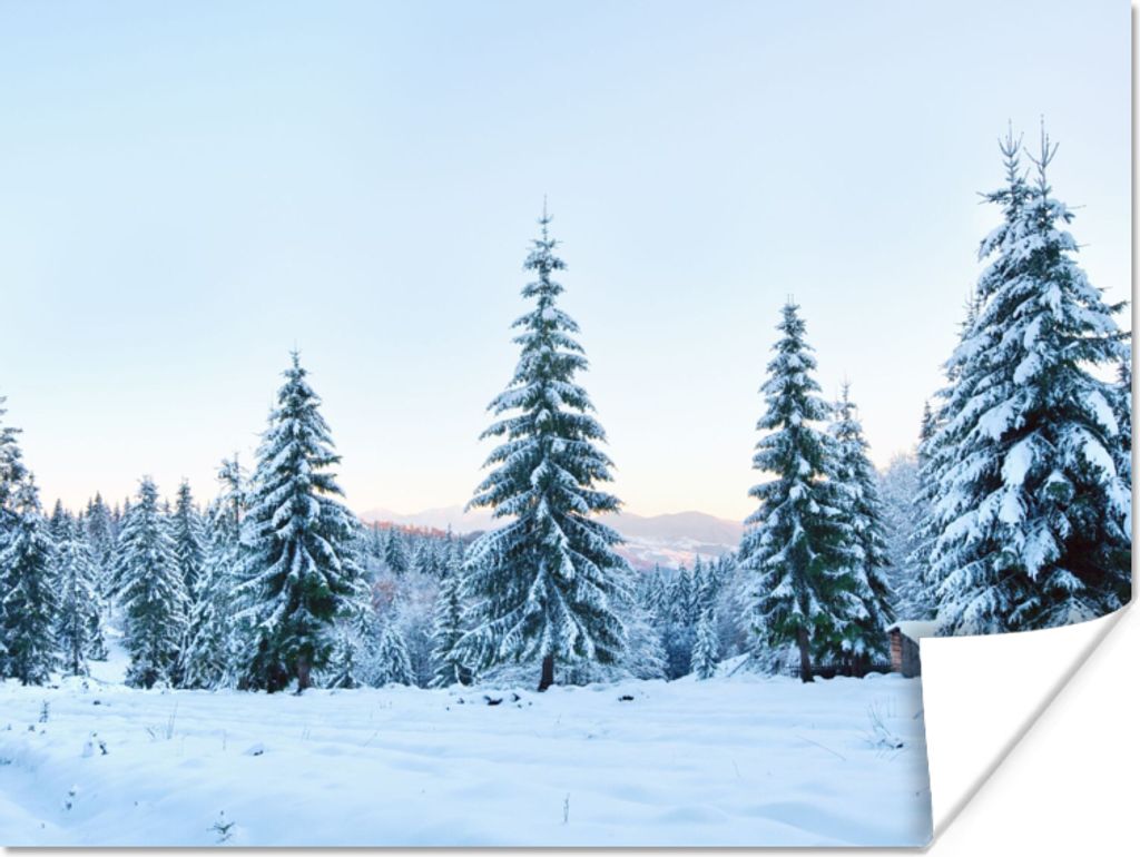 MuchoWow Poster Winter - Schnee - Bäume 80x60 cm - Kunst für zu Hause