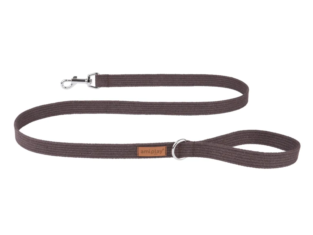 Laisse d'Éducation pour Gros Chien XL 140 cm - Contrôle et Confort