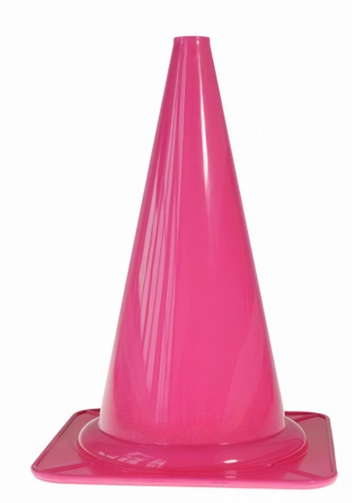 pylon 28 cm Kunststoff rosa