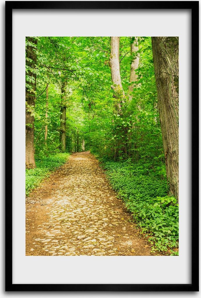 Bild - Bilderrahmen - 40 cm x 60 cm - MDF - Rahmen - Wandkunst - Pfad im Wald
