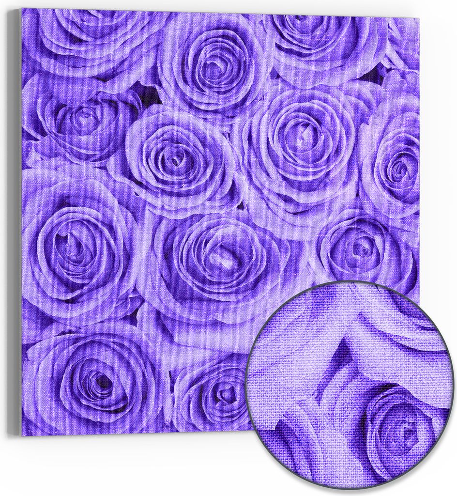 DEQORI Hybrid Leinwand Bild 50x50 cm 'Lila Rosenpracht' Wandbild Glas flach modern