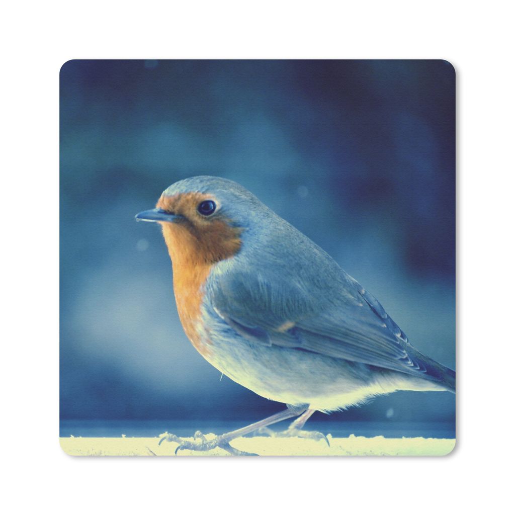MuchoWow Mauspad Mousepad Rotkehlchen - Blau - Schnee 20x20 cm - Mousepads - Maus Mat - Pad - Mausunterlage - Desk Mat - Bureauartikeln