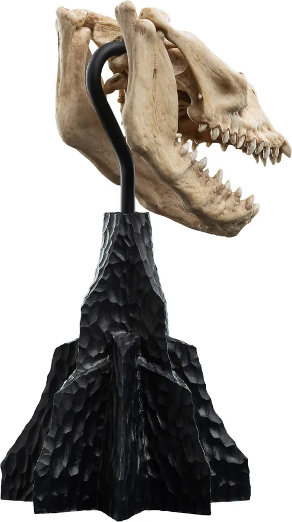 Objet de Collection Crâne de Bête Qualité Musée pour Vitrine de Fantasy - 7