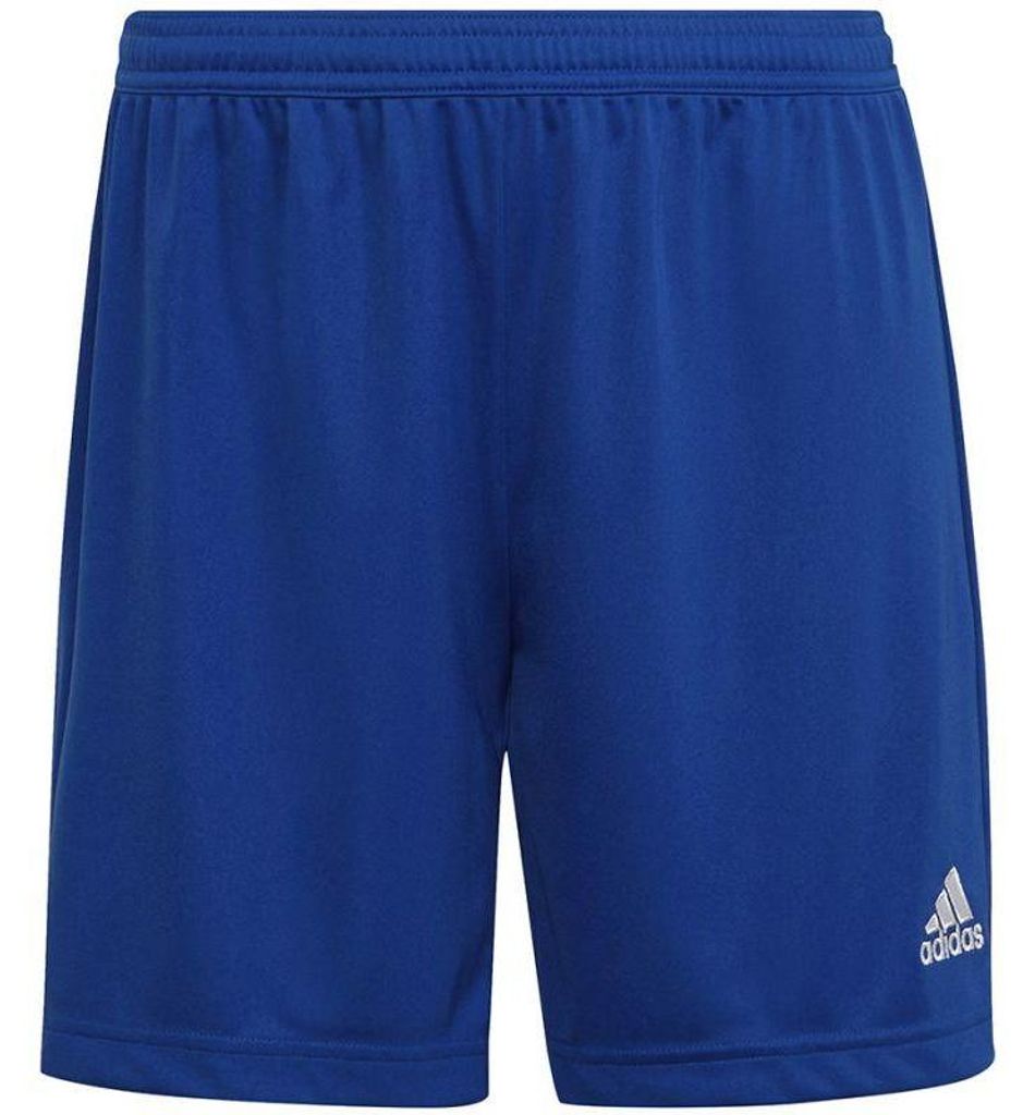 Adidas - "Entrada 22" Sweat-Shorts für Damen - Training MR231 (M) (Blau)